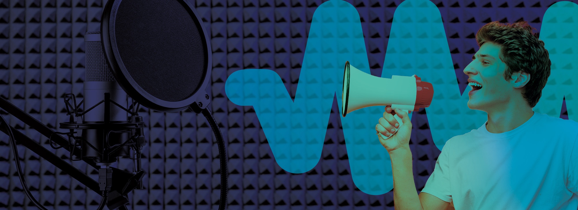 Advertisement Voice Over