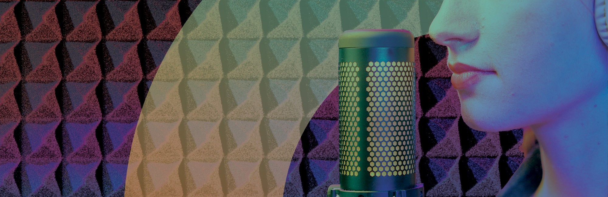 Voice Data for AI Model Training — Professional Collection & Datasets